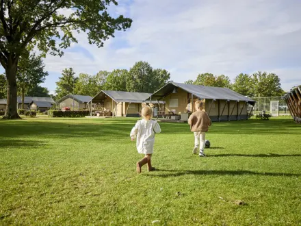 Glamping Tent Comfort 15