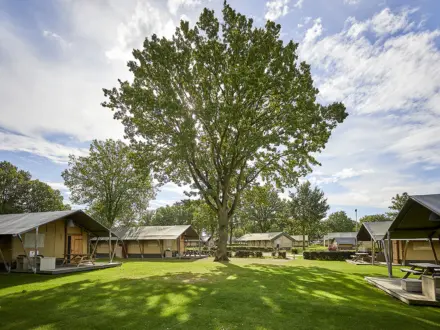 Glamping Tent Comfort 17